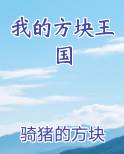 我的方块王国