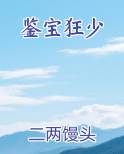 鉴宝狂少在线阅读无弹窗