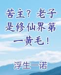 苦主？老子是修仙界第一黄毛！小说全文免费阅读