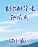 星际向导哨兵小说