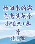 捡来的老婆小说免费