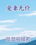 爱妻无价全文在线阅读