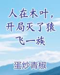 人在木叶，开局灭了猿飞一族原著小说