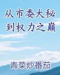 从市委大秘到权力之巅小说免费阅读