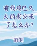 有钱鸡巴又大的老公死了怎么办？全文阅读