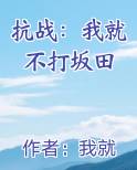 抗战：我就不打坂田小说全集