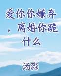 爱你你嫌弃，离婚你跪什么全文免费阅读