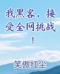 我黑客，接受全网挑战！免费小说