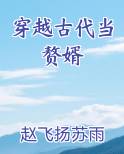 穿越古代当赘婿