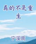 真的不是重生TXT