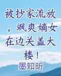 被抄家流放，飒爽嫡女在边关盖大楼！