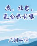 我，社畜，氪金养老婆