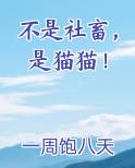 不是社畜，是猫猫！